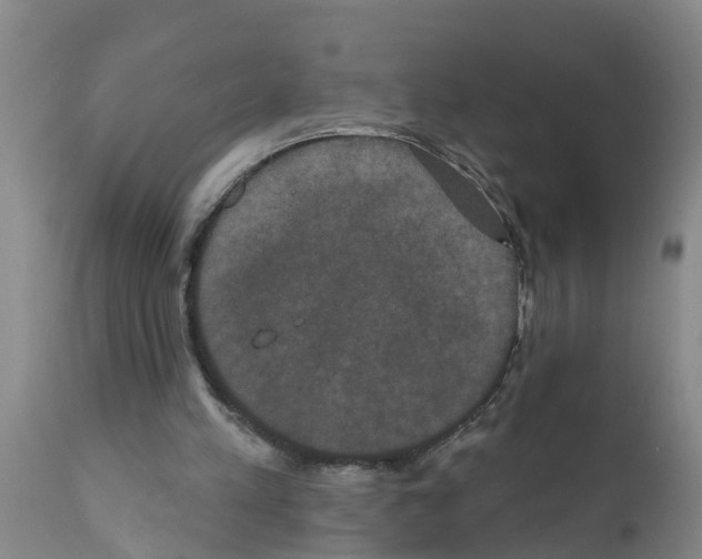 X0000111520197200908251146
