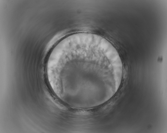 X0000111520198200908251146