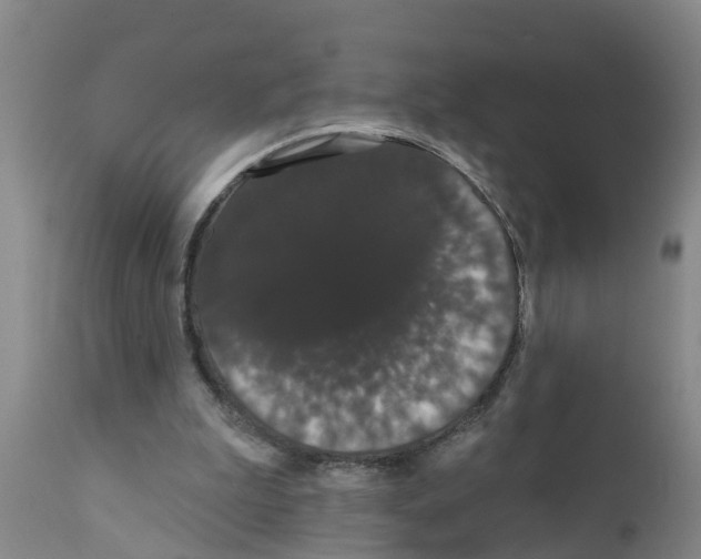 X0000111520199200908251146