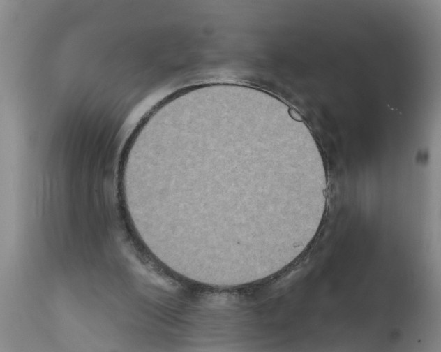 X0000111520200200908251146