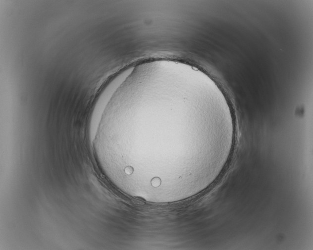 X0000111520201200908251146