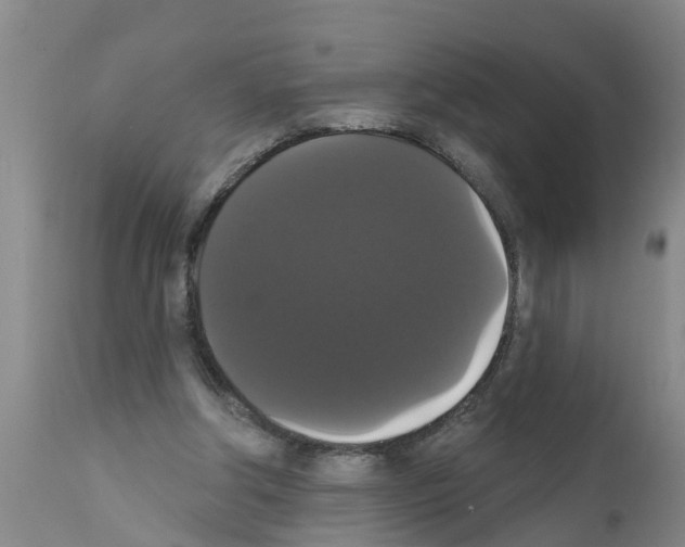 X0000111520202200908251146
