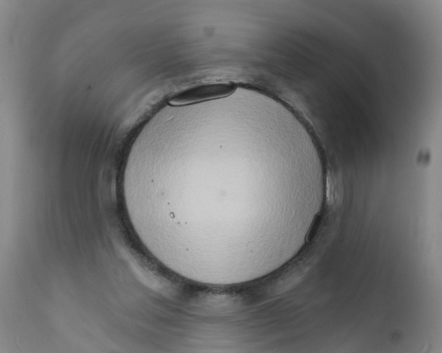 X0000111520205200908251146