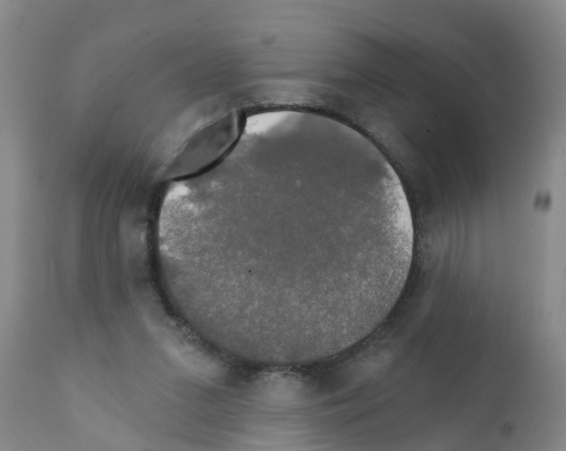 X0000111520207200908251146