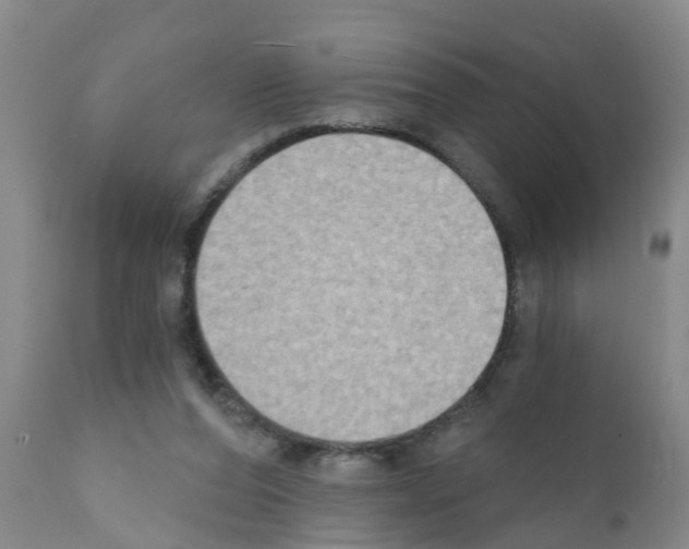 X0000111520208200908251146