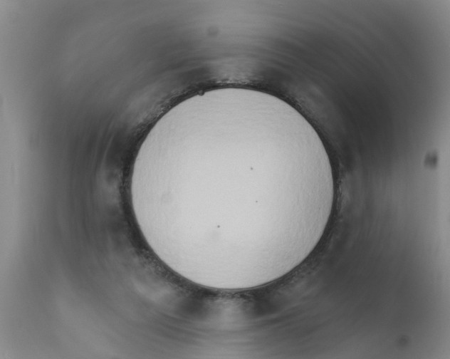 X0000111520209200908251146