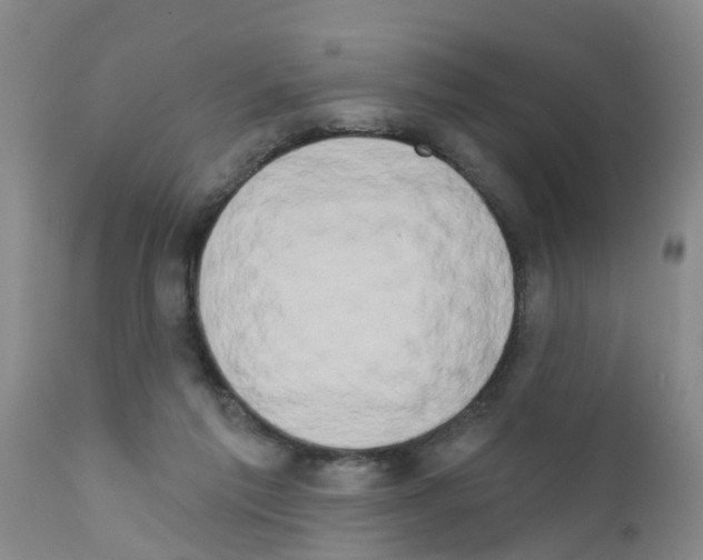 X0000111520213200908251146