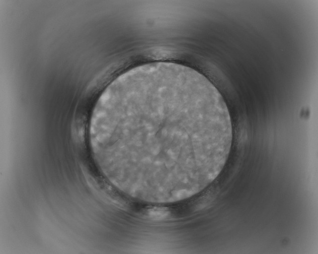 X0000111520214200908251146