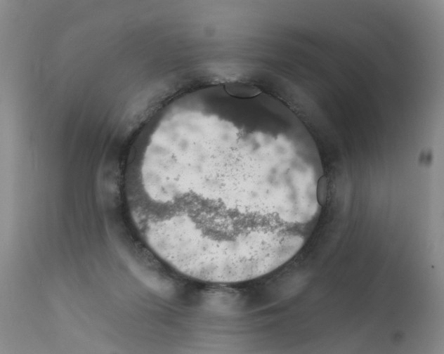 X0000111520215200908251146