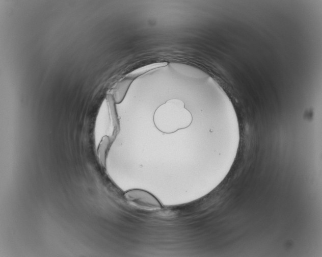 X0000111520217200908251145