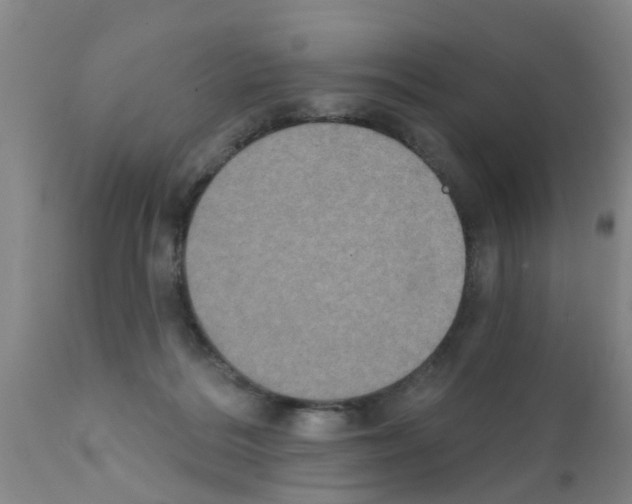 X0000111520220200908251145