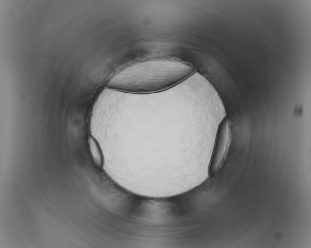 X0000111520221200908251145
