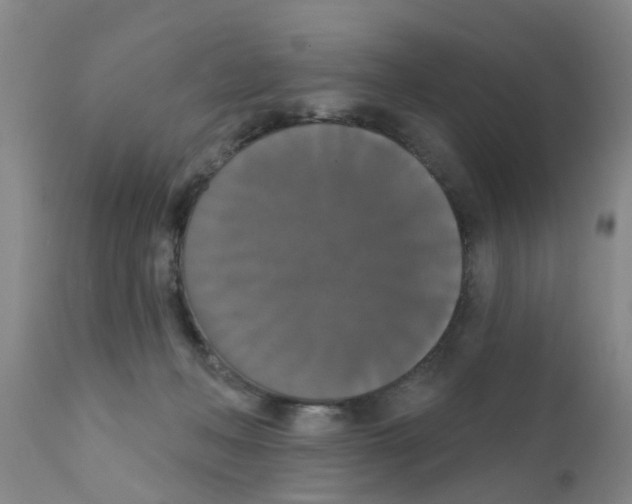 X0000111520222200908251145