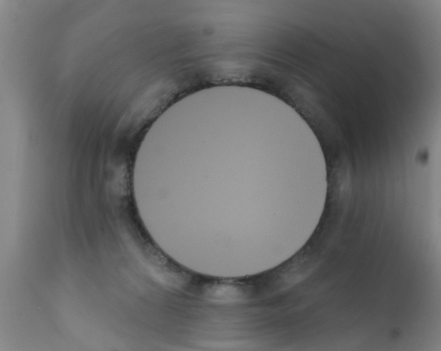 X0000111520224200908251145