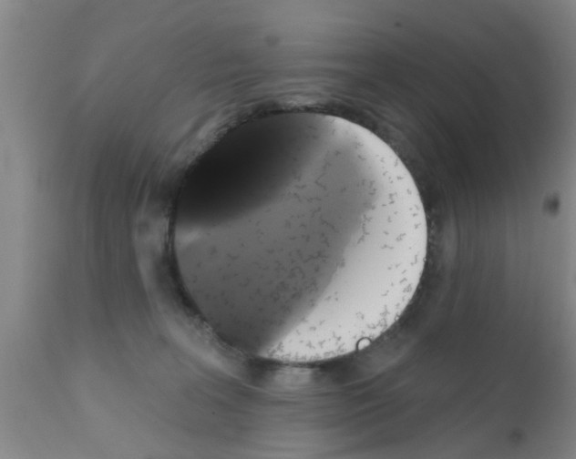 X0000111520227200908251145