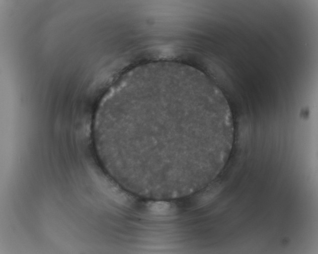 X0000111520230200908251145