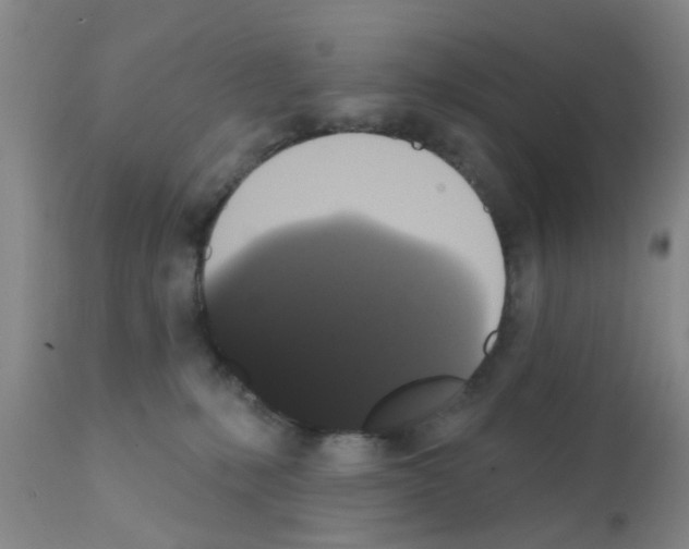 X0000111520231200908251145