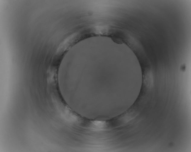 X0000111520233200908251145