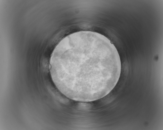 X0000111520234200908251145