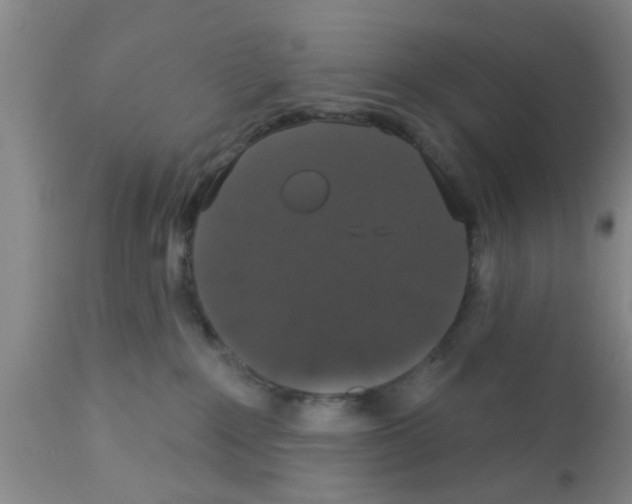 X0000111520235200908251145