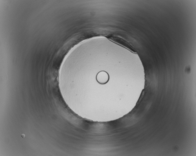 X0000111520237200908251145