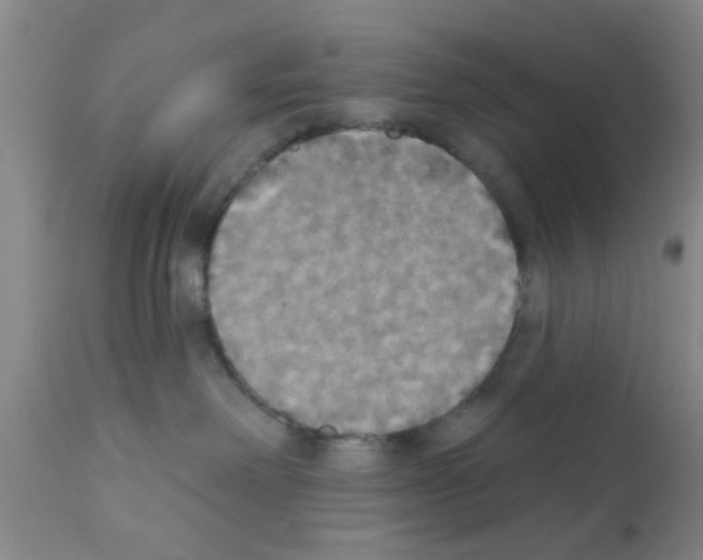 X0000111520238200908251145
