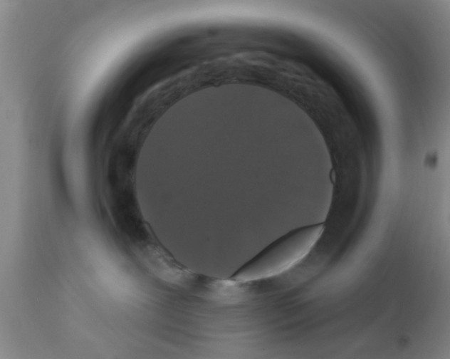 X0000111520239200908251145