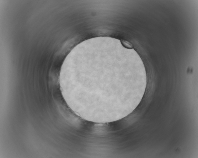 X0000111520240200908251145