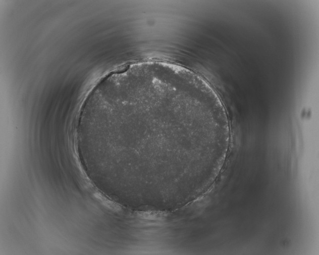 X0000111520241200908251144