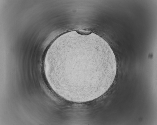 X0000111520242200908251144