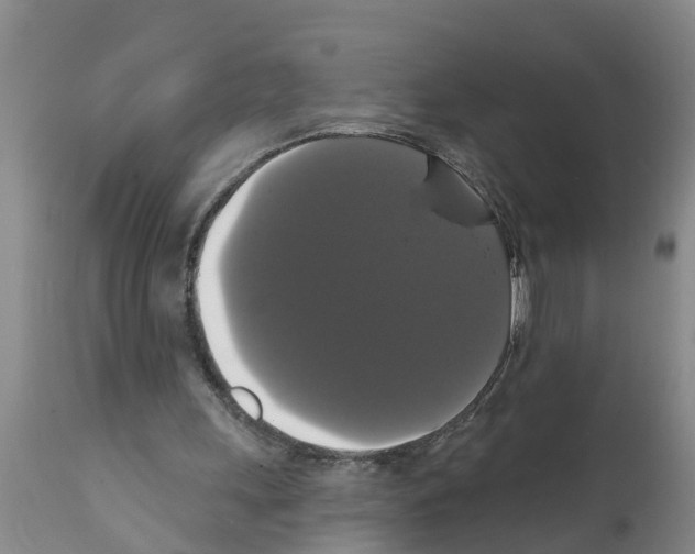 X0000111520243200908251144