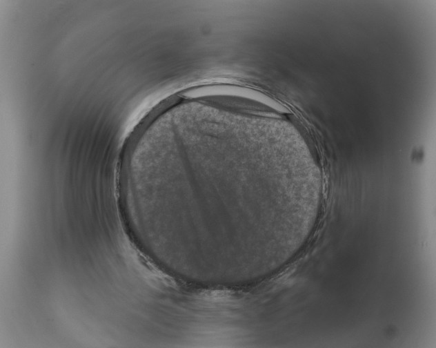 X0000111520244200908251144
