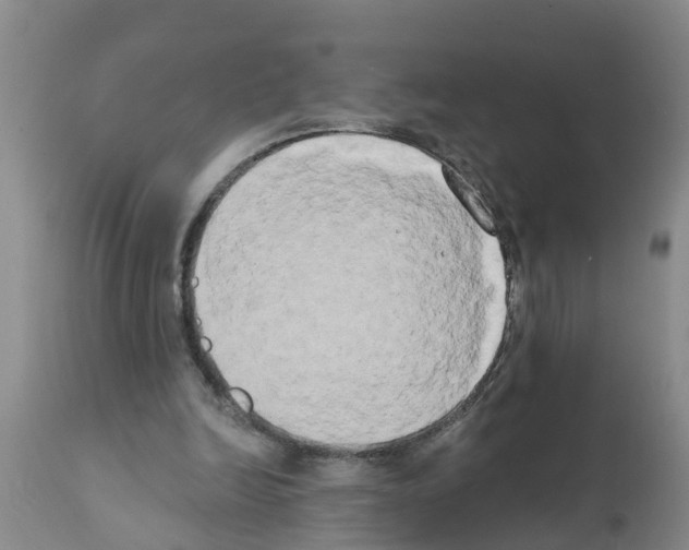 X0000111520246200908251144