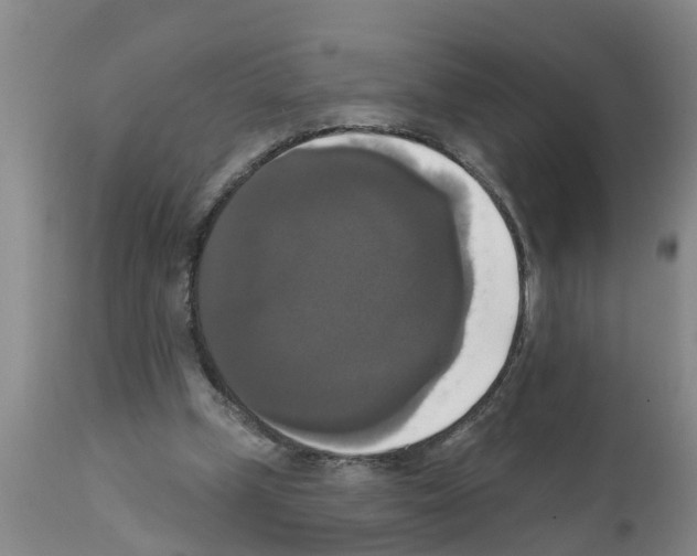 X0000111520249200908251144
