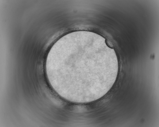 X0000111520250200908251144