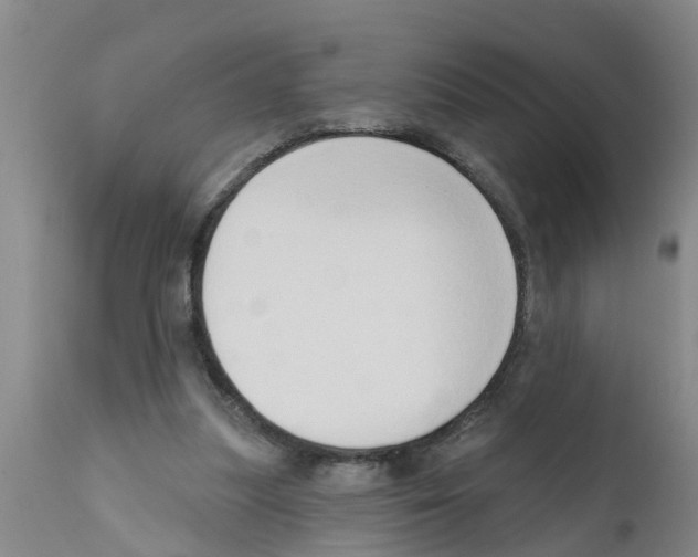 X0000111520251200908251144