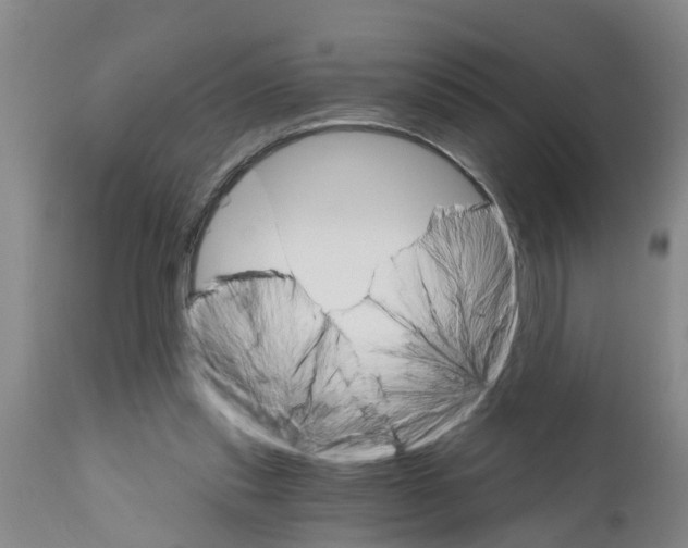 X0000111520253200908251144