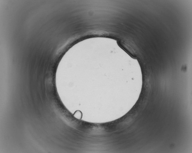 X0000111520256200908251144