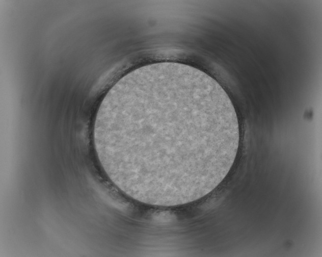 X0000111520258200908251144