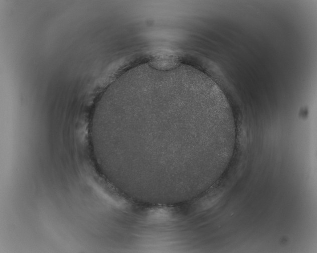 X0000111520259200908251144
