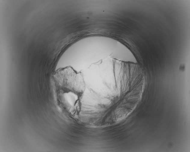 X0000111520261200908251145