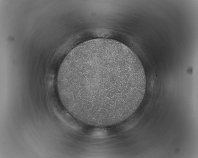 X0000111520263200908251145