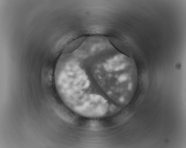 X0000111520264200908251145