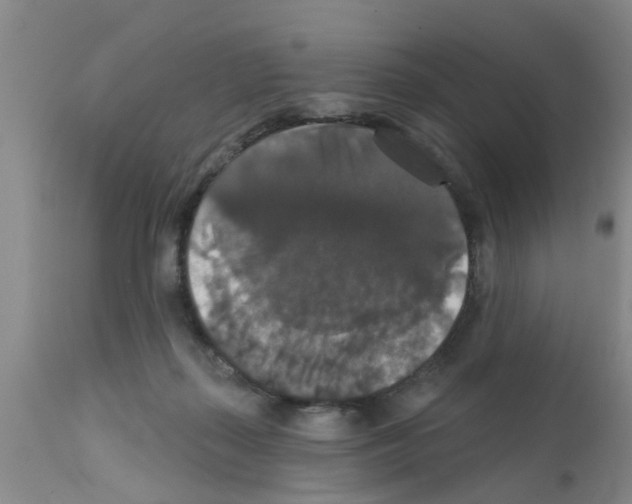 X0000111520267200908251145