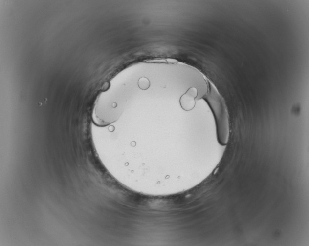 X0000111520268200908251145