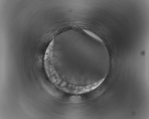 X0000111520271200908251145