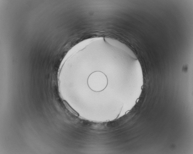 X0000111520272200908251145