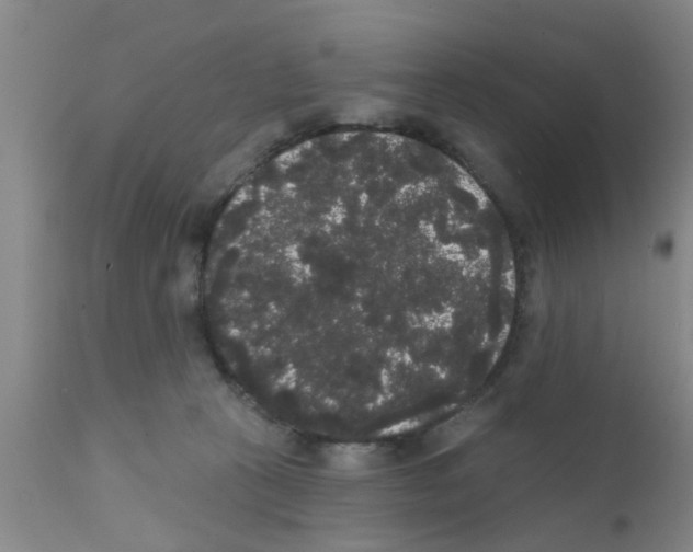 X0000111520273200908251145
