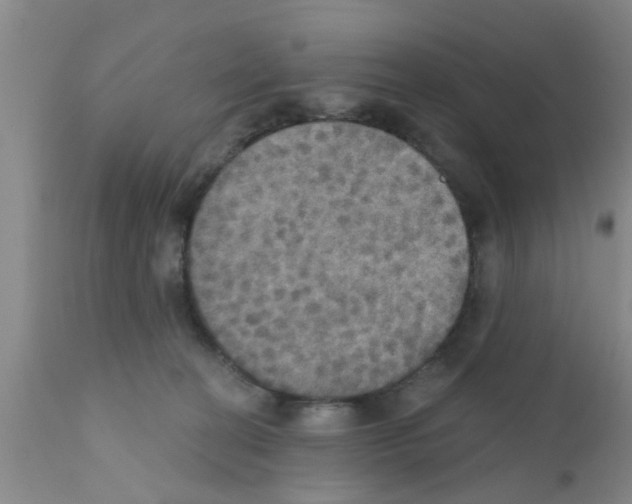 X0000111520274200908251145