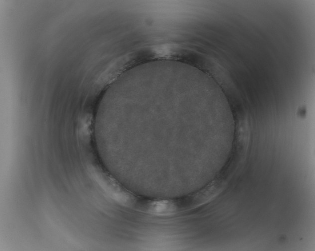 X0000111520275200908251145